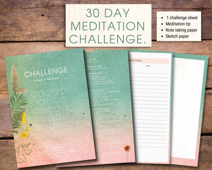 Mindfulness instructions boyes alice 30-Day Meditation Challenge
