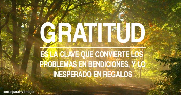 15 Meditation Exercises for Cultivating Gratitude